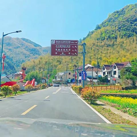 用手机镜头记录我们的旅程：竹林，溪流，山沟沟。