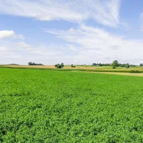 我们的车与远方，一路向北：在德国的乡间旅行