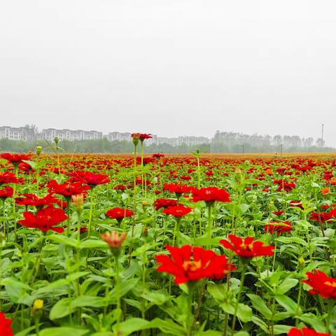 通过手机镜头看中国：西湖之外的杭州（3）