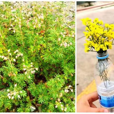 酒泉神康医院团建游记！