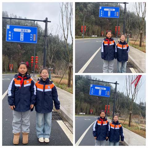 我与祖国共奋进 我看家乡新变化—走进新农村        昌化一小四（二）班流星小队 胡佳怡 刘悦然