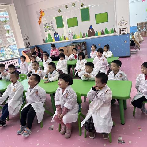 桦南县幼儿园小一班科学活动                        《木质小船》