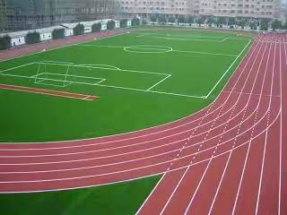 回访母校学前教育2201刘雨璐