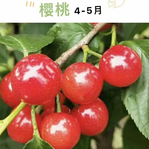 欢迎来黎明村品尝采摘水果。