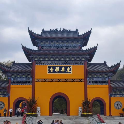 三八踏春，与卿同行