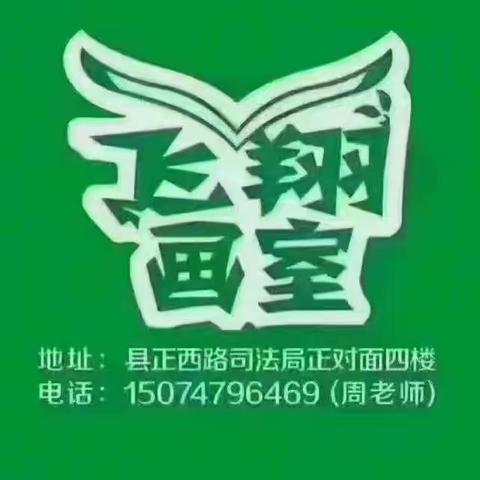 2024年飞翔画室步行街校区14：20-16：0暑假总结