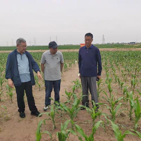 农业农村厅组织离退休人员开展“三农”志愿夏季基层服务行活动