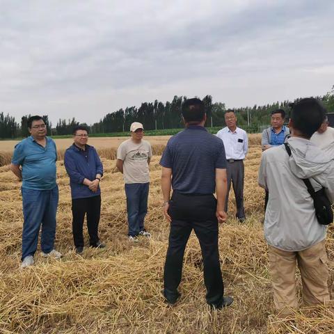 农业农村厅组织离退休人员开展夏收“三农”志愿基层服务行活动