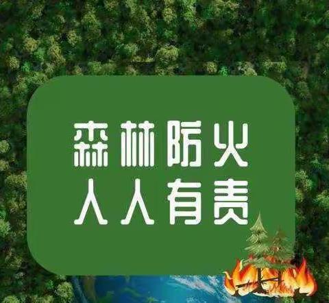 严防森林火灾，守住绿水青山—朝阳小学开展森林防火主题班会