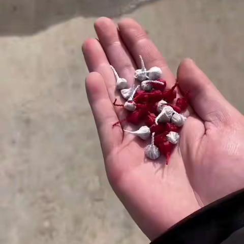 师范学院小教2203梁明星新的一年计划