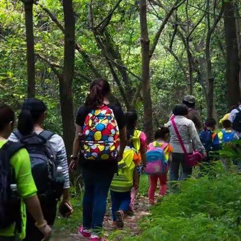 【|2023年9月3日周日】重返侏罗纪，“桫椤谷”侏罗纪恐龙乐园，植物界活化石亲子徒步一日游