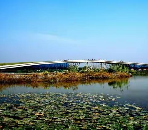 湿地文旅产业园多措并举持续强化烟花爆竹禁燃禁放禁售管理工作