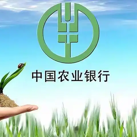 老年人支付服务便利化、移动支付服务下沉乡镇及非现金工具支付