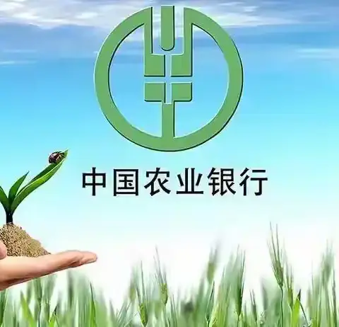 优化支付服务提升支付便利性，提升外籍来粤人员支付服务水平