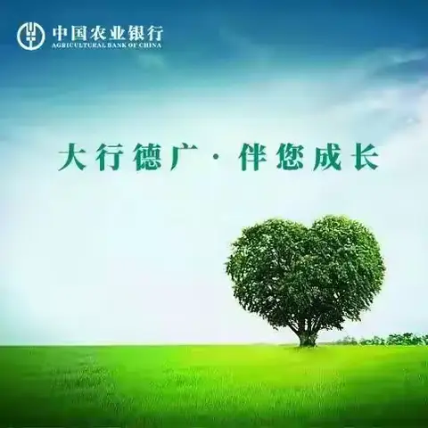 扎实推进支付普惠进程，支付服务适老化，面向老年人开展移动支付等支付服务便利性宣传