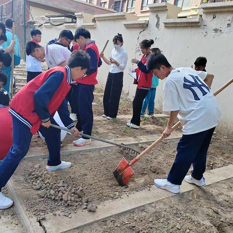 “蔬”香为伴，“勤”满校园—封丘县嘉祥实验学校六年级学生劳动实践活动