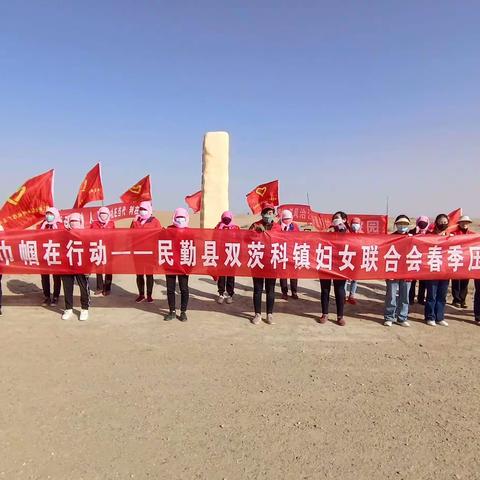 志愿服务正当时 巾帼植绿展风采——双茨科镇妇联春季压沙造林活动