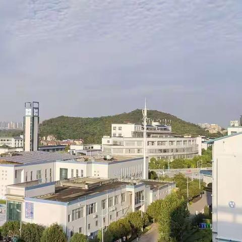 回访母校   感谢师恩——襄阳职业技术学院小学教育2207班罗覃盼