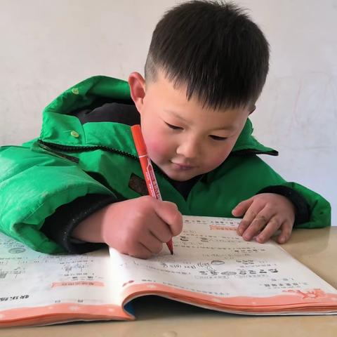 小教2202魏崇煦寒假社会实践调查报告