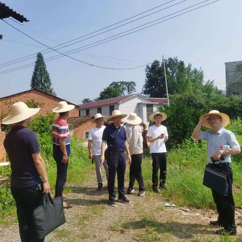 省、市、县疾控中心专家来我镇调研发热伴血小板综合征防控工作