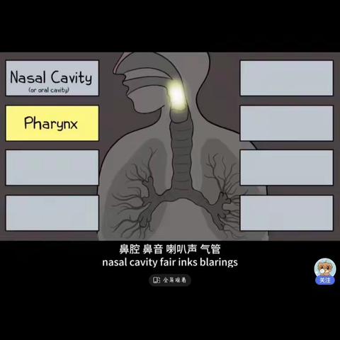 生物项目化作业