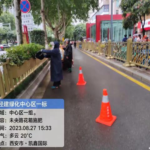 全力以赴做好汛期城市绿化养护工作