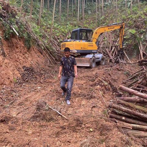 三元区林业系统道路安全检查