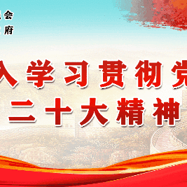 庙口镇积极清扫道路积雪