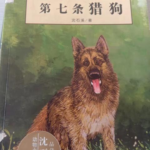 【六年九班王曦】阅读悦美——《第七条猎狗》 我是朝阳实验小学六年九班的王曦，今天我给大家分享的是《第七条猎狗》