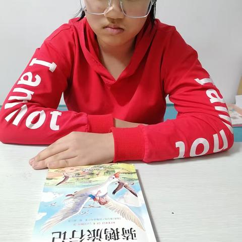 【六年九班王曦】读《尼尔斯骑鹅旅行记》有感