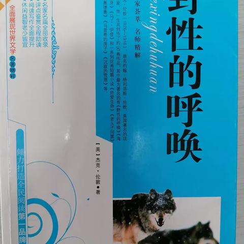 【六年九班王曦】读《野性的呼唤》有感