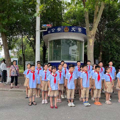 红领巾假日活动——学习交通安全