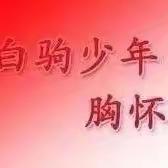 海南白驹学校第一支部学习贯彻习近平新时代中国特色社会主义思想主题教育简报