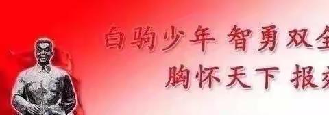 海南白驹学校党总支第一支部学习贯彻习近平新时代中国特色社会主义思想主题教育简报