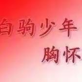 中共海南白驹学校党总支第一支部组织生活会 会议纪实