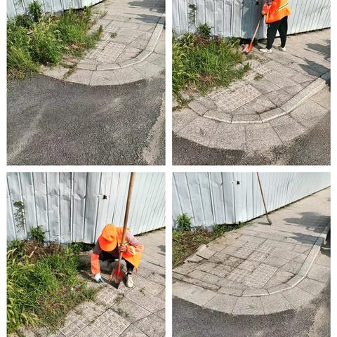 “夏日清凉”系列活动①除草篇