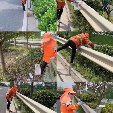 “夏日清凉”系列活动⑥绿化带清理篇