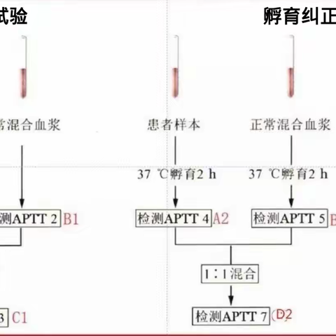 实验室追凶系列之APTT延长的真相