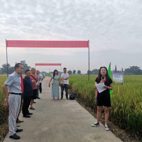 什邡市农业农村局2023年水稻优良品种试验示范现场会