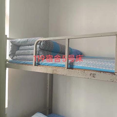 与梦想同行，共绘未来——初一3班风采