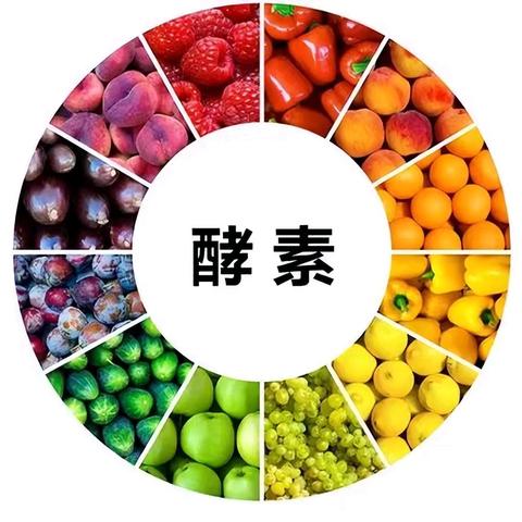 【环保酵素】1、历史：酵素的前世今生