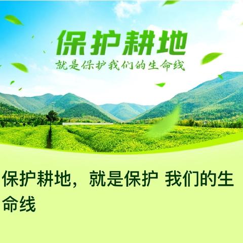 自力更生守红线，齐心协力护粮安——夹寒箐社区山后村整治耕地流出图斑纪实