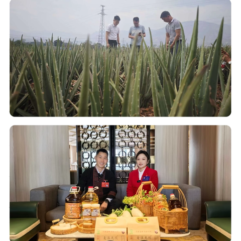 饮水思源践初心 致富思进启新程——基层村干部杨安伦的为民实干答卷