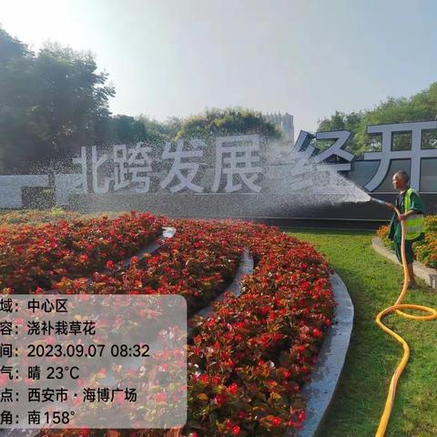 绿化养护不停歇 精修细剪“迎双节”