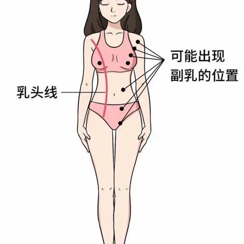 你真的了解『副乳』吗？