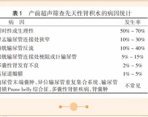 胎儿肾积水怎么办？