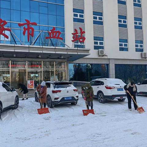 以“雪”为令，血站“破冰除雪”在行动