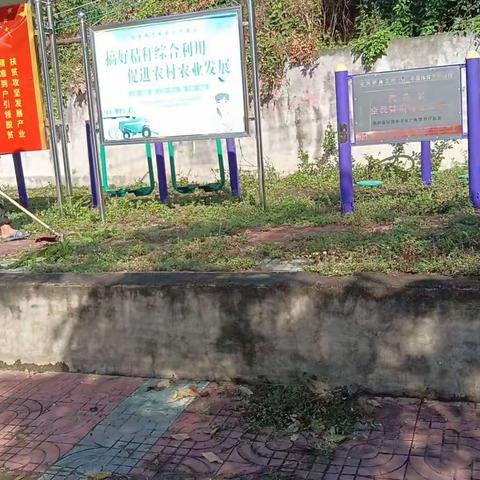 白查村人居环境卫生整治