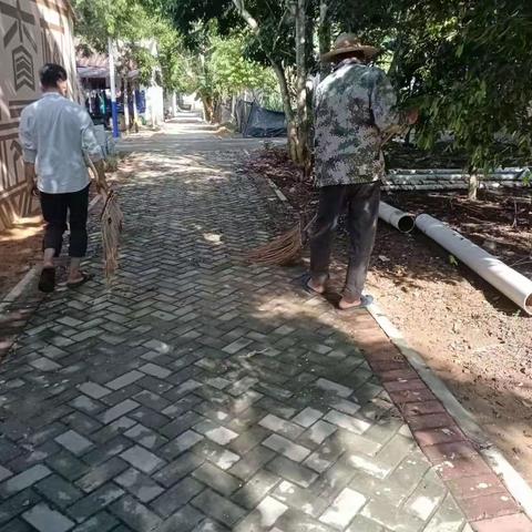白查村持续开展人居环境卫生整治活动