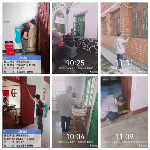 市旅文局组织开展白蚁专项防治工作 保护文物本体安全